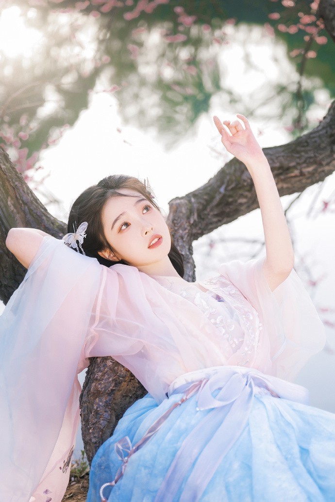 风骚律师